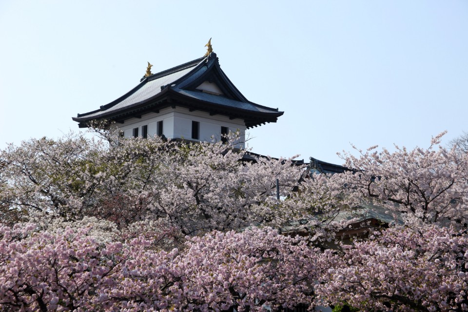 前進神祕道南 北海道唯一日本城堡 被櫻花淹沒的松前城 番外篇 中途下車木古內 欣傳媒