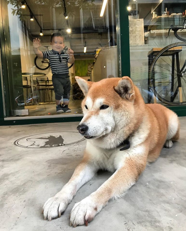 你有看到仁將嗎 Caffe Terry搬新家囉 欣單車 單車讓生活更精采 欣傳媒運動頻道