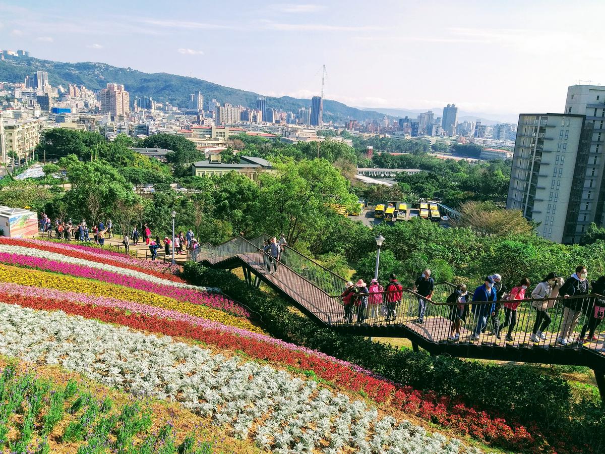 【旅遊】2021北投社三層崎公園-台版富良野賞漸層花海， 媲