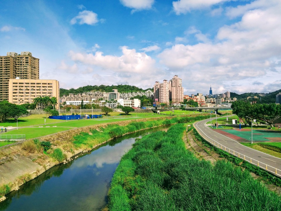 【旅遊】台北市木柵區賞「2021油菜花海」，「道南右岸河濱公