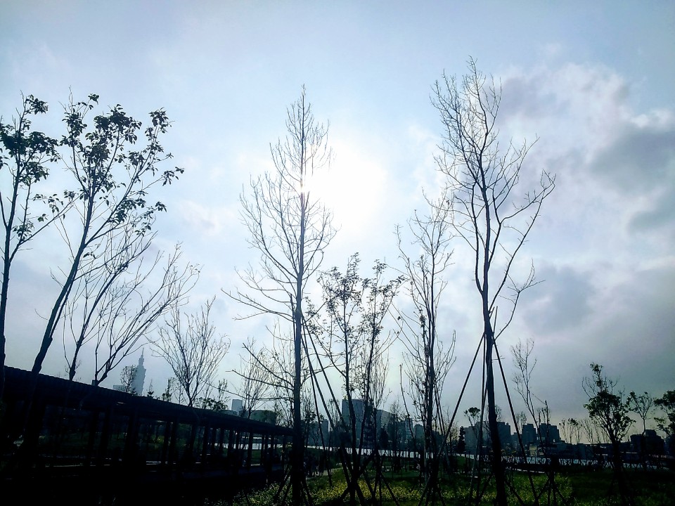 【旅遊】台北市南港「新新公園」城市綠地新景點、「濕地花園、落