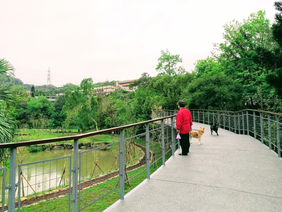 【旅遊】台北市信義區「永春陂濕地公園」城市綠地新景點，四獸山