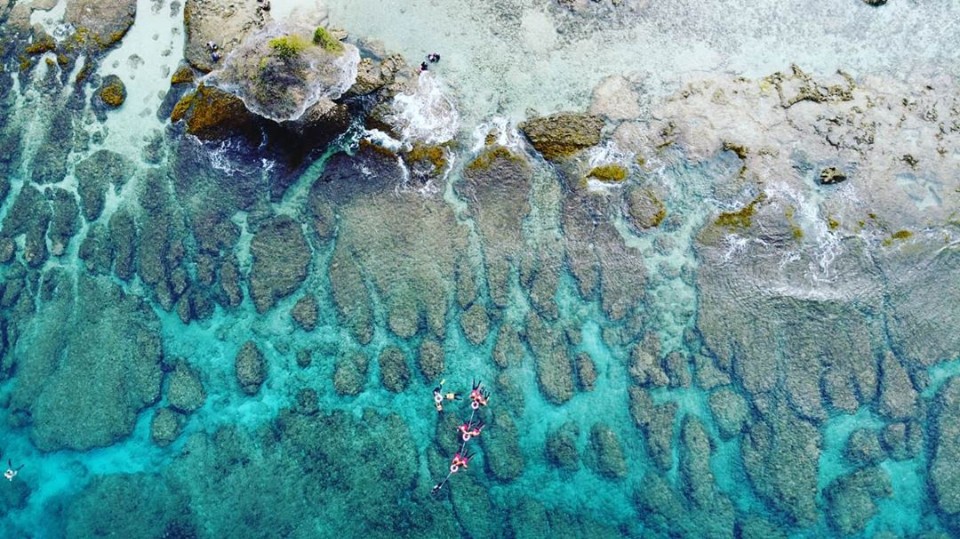 每到夏天我要去潛水 全台本島 離島10大潛水地點大公開 綠島 小琉球 蘭嶼比你想像的還要美 欣傳媒