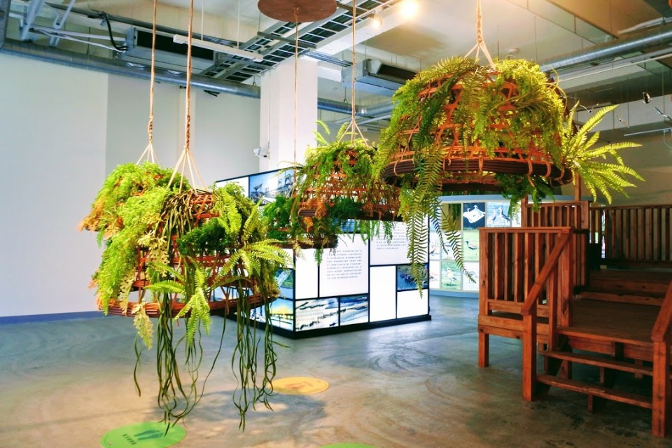 【旅遊】台南七股「七股遊客中心」拍網美照，「自然生態展覽館」