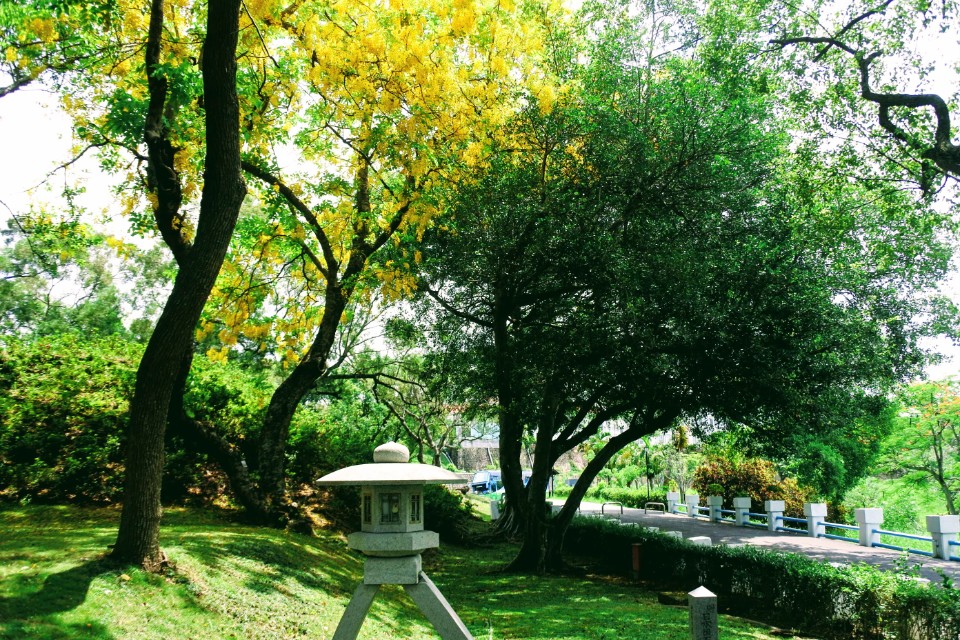 【旅遊】台南「烏山頭水庫風景區」，乘「太陽能觀光遊艇」遊珊瑚