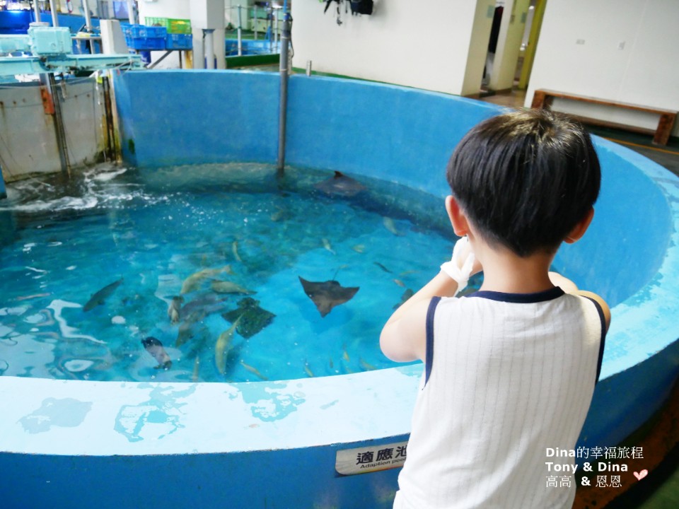 親子旅遊趣 國立海洋生物博物館 一起窺探海洋生物飼育後場x 鯨魚廣場戲水趣 欣傳媒