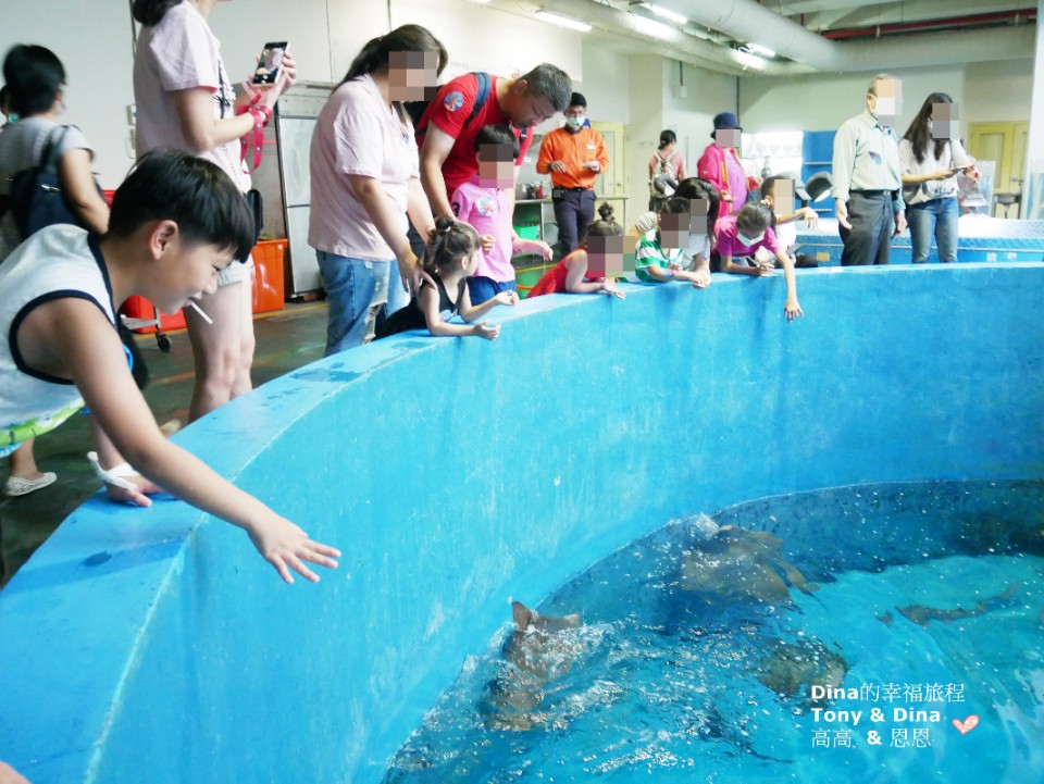 親子旅遊趣 國立海洋生物博物館 一起窺探海洋生物飼育後場x 鯨魚廣場戲水趣 欣傳媒