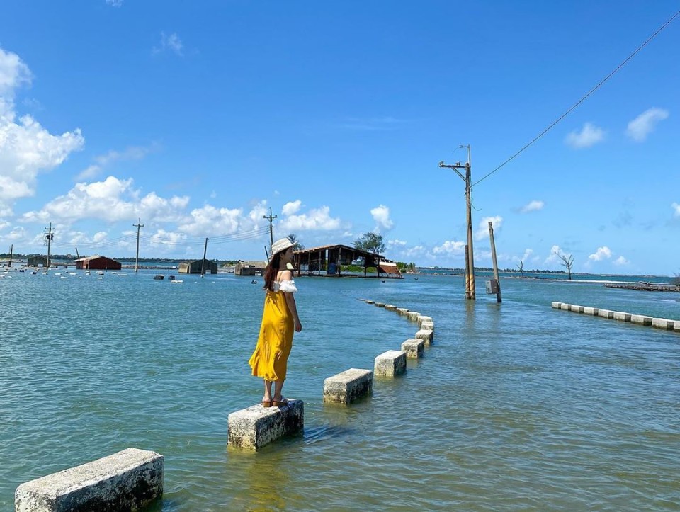 嘉義追劇小旅行丨跟著電影 消失的情人節 朝聖嘉義夕陽秘境 東石 布袋景點一日遊 欣傳媒