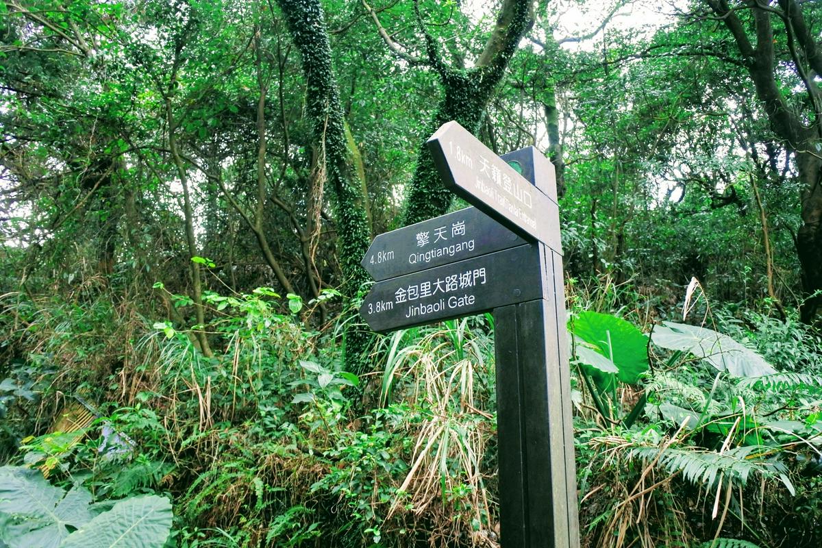 【旅遊】北海岸蹦火仔深度文化饗宴，和平島公園、維納斯海岸、駱