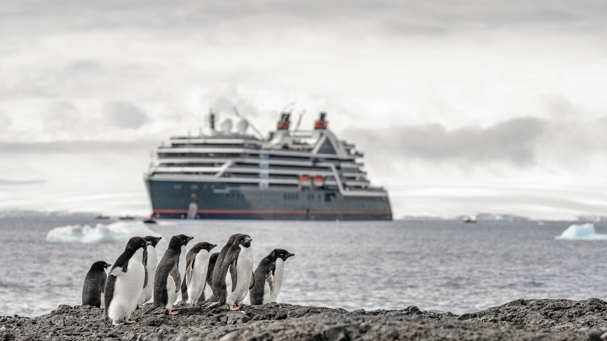 南極郵輪此刻必去原因是這個！看企鵝、跳水、露營行程搶先看