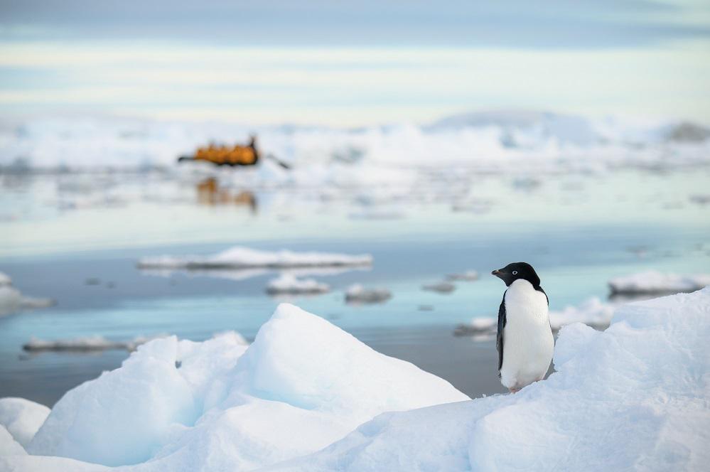 雄獅南美＋南極雙夢想行程，邀請旅遊攝影作家張逸帆上船專場講座；圖片／張逸帆提供