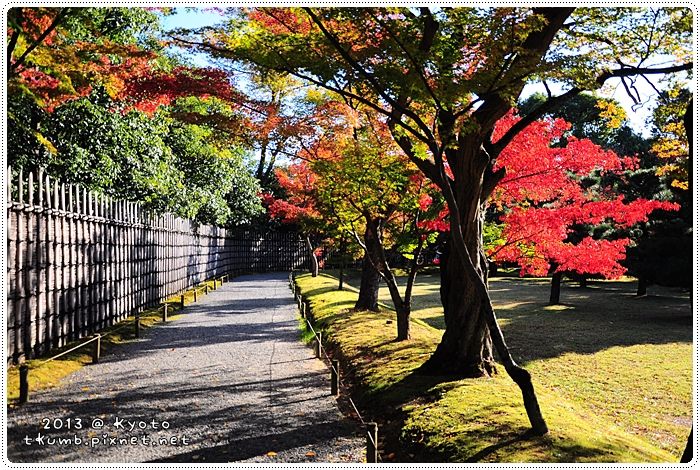 京都紅葉 桂離宮 欣傳媒