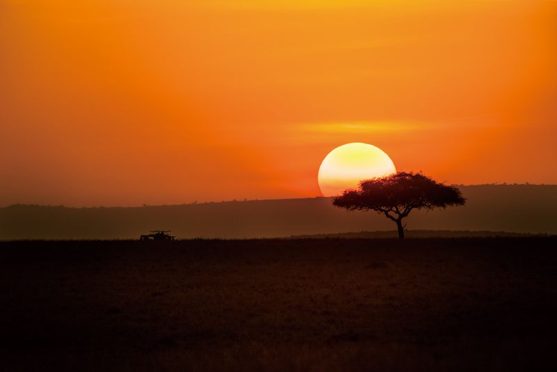 這次在獵遊車上以長鏡頭拍攝夕陽，傑瑞大叔將ISO感光度拉高，讓作為背景的太陽顯得很大，呈現出畫面簡單，但主題明顯的照片。（照片提供：傑瑞大叔）