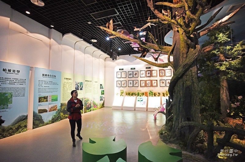金佛山喀斯特展示中心展出金佛山的植物型態 (圖片來源：許傑)