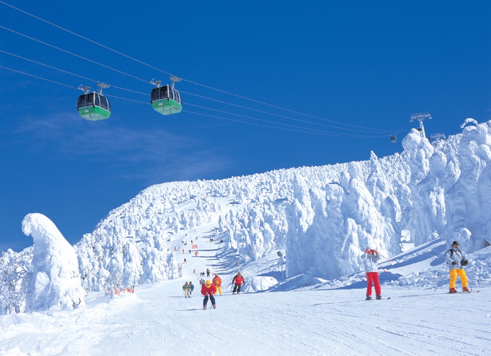 藏王滑雪場提供