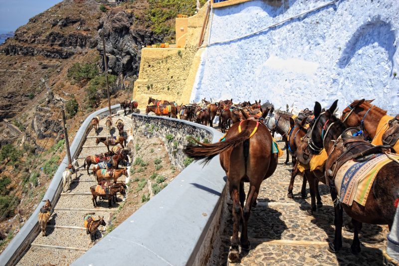 騎乘驢子走蜿蜒山路到費拉，也是種獨特體驗。（圖片：123RF）