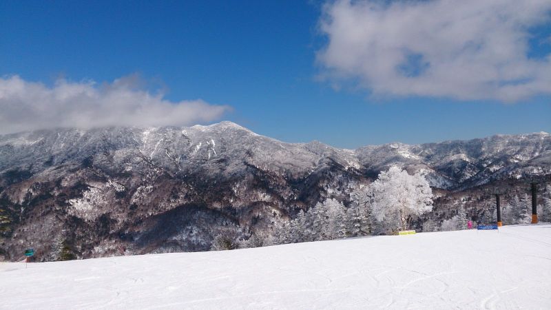 Giant Slalom Course。(photo by 阿福)