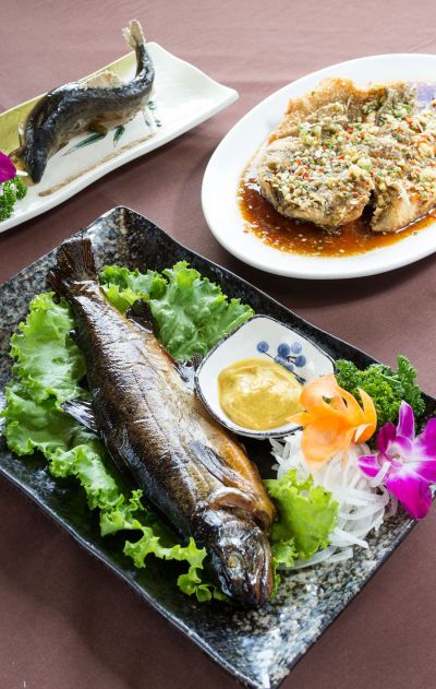 餐廳招牌菜就是這一道道的鮮魚料理，搭配各種料理手法，讓人一次品嚐多種美味口感。