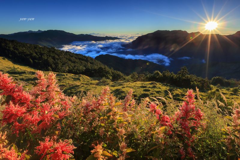 合歡的秋晨，色彩斑斕讓人驚艷。圖／鄭妍妍 提供
