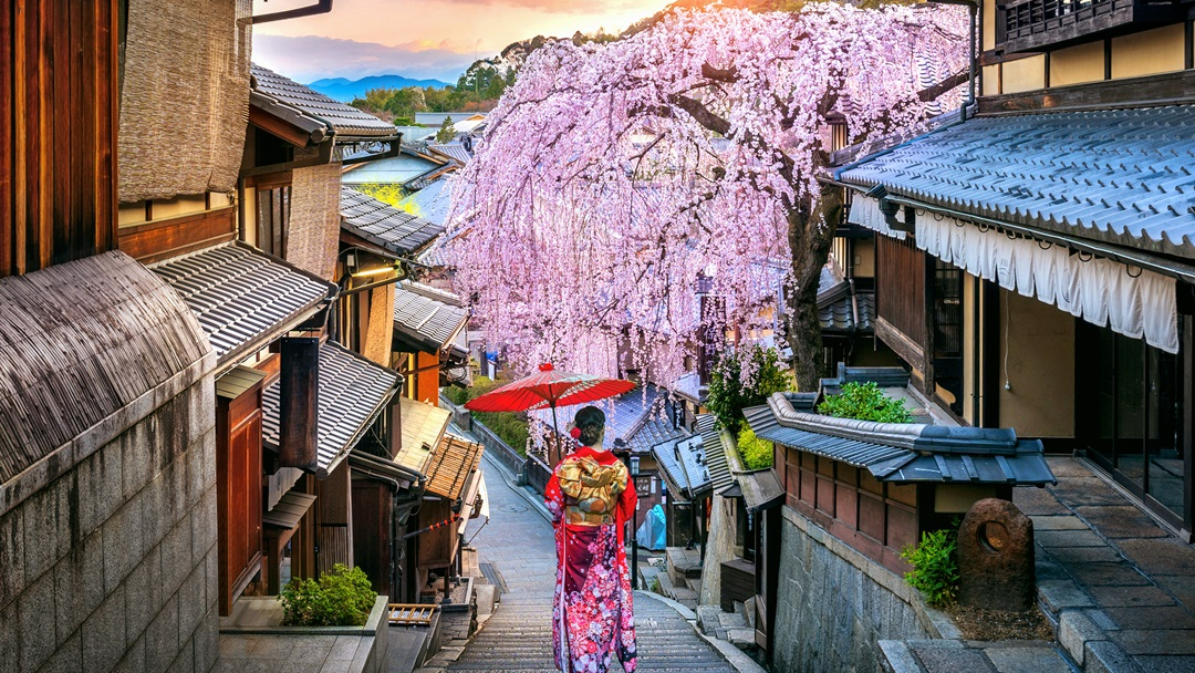 京都清水寺「產寧坂」百年櫻花倒了！你知道這4個京都賞櫻祕境也不能錯過嗎？