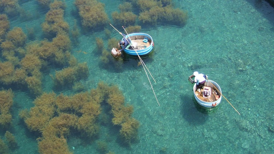 來到佐渡島一定要試試搭乘盆舟。（圖片來源：欣傳媒）