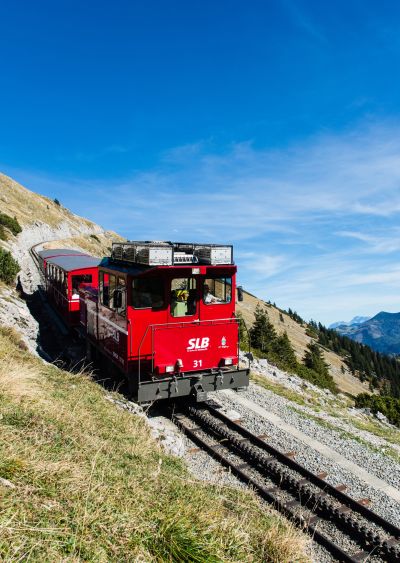這可是奧地利最陡峭的鐵路，最大坡度26%。（Photo│123RF）