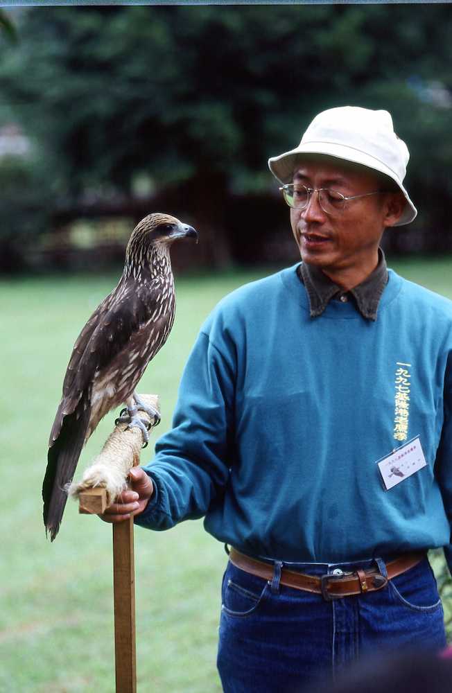 大地共生老鷹想飛 欣傳媒