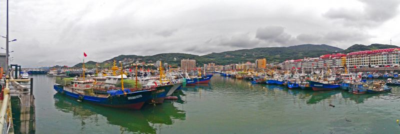 黃岐鎮雖小，卻是福建最大的漁區，與台灣漁貨交流頻繁(圖片來源：yeahyeahyeah攝)