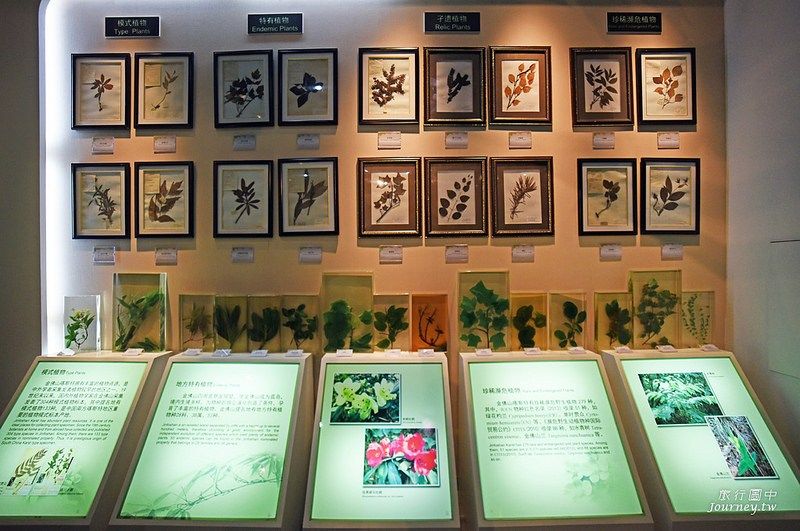 金佛山喀斯特展示中心展出金佛山的植物標本真品 (圖片來源：許傑)