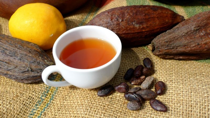 用可可豆製作的可可茶，香氣濃郁順口。（圖／薛琳云）