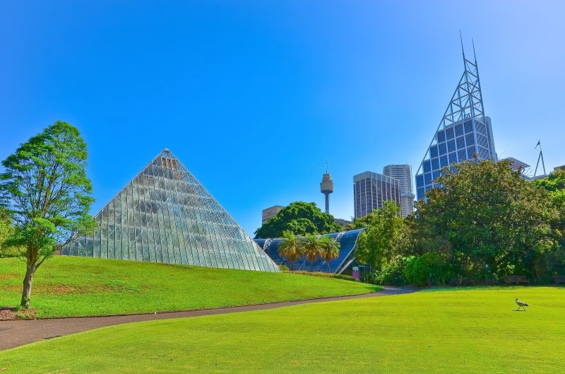 雪梨皇家植物園位於市中心，還能看到映襯於綠色背景中的雪梨塔。（照片提供：123RF）