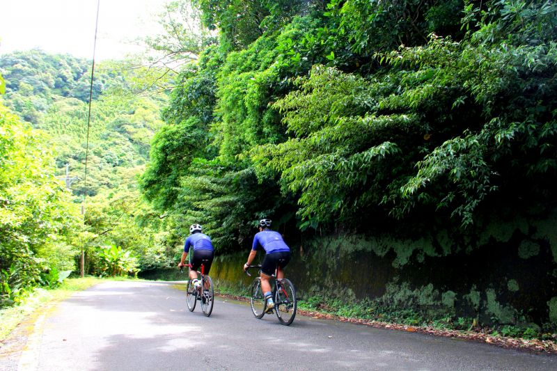 樹蔭降溫的作用十分明顯，外加蟲鳴鳥叫環境清幽，是台北車友夏天郊遊的好所在。(蔡克辰攝)