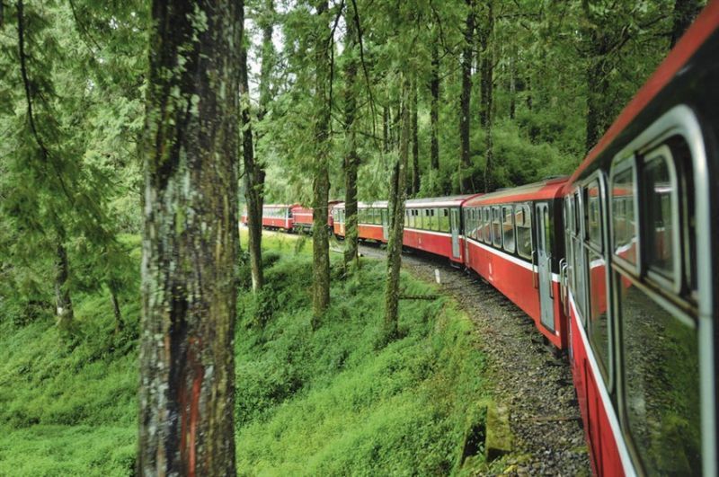阿里山森林鐵路有特殊的景緻，也有著獨特的價值。（來源：嘉義縣政府提供）