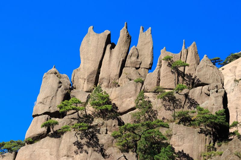 西海大峽谷奇松怪石，很符合水瓶喜愛的異世界想像。