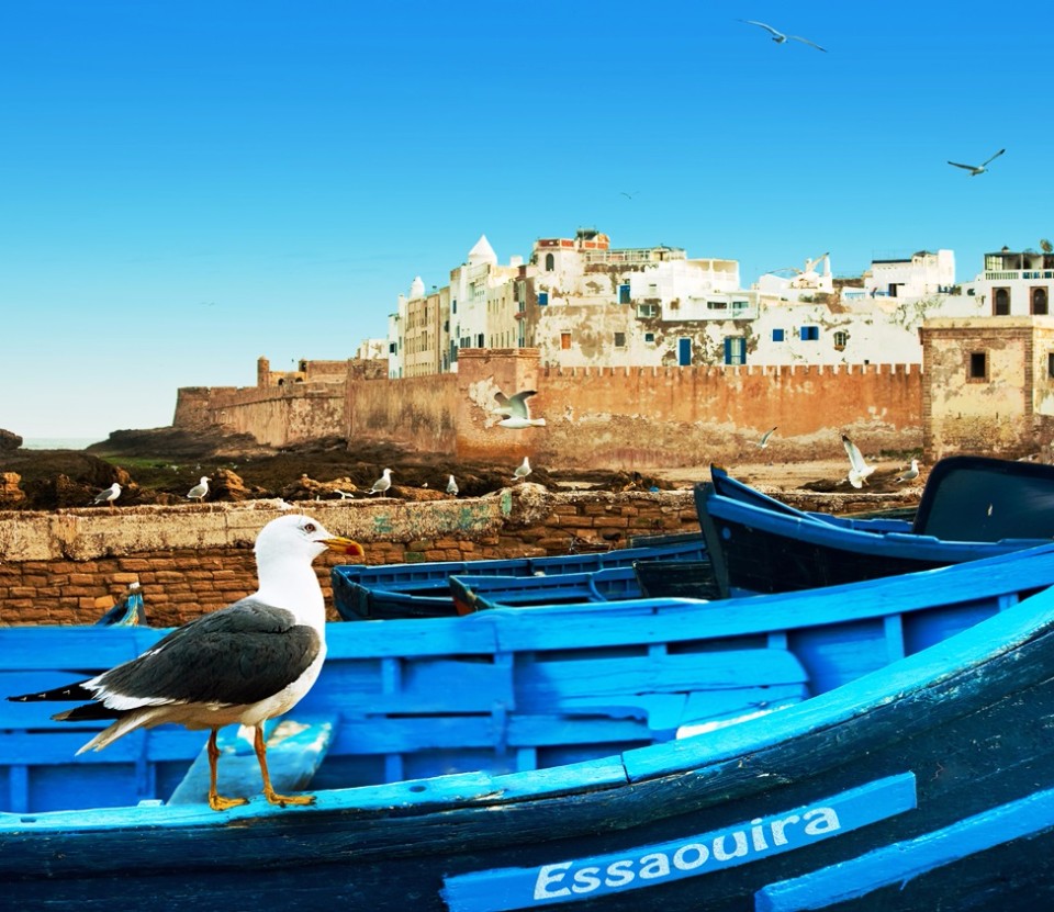摩洛哥的海城-索維拉，鎖定她超值美味的海鮮吧。