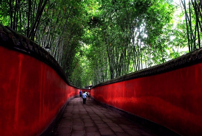 最有的綠竹紅牆，構圖有夠美！(圖片來源欣傳媒)
