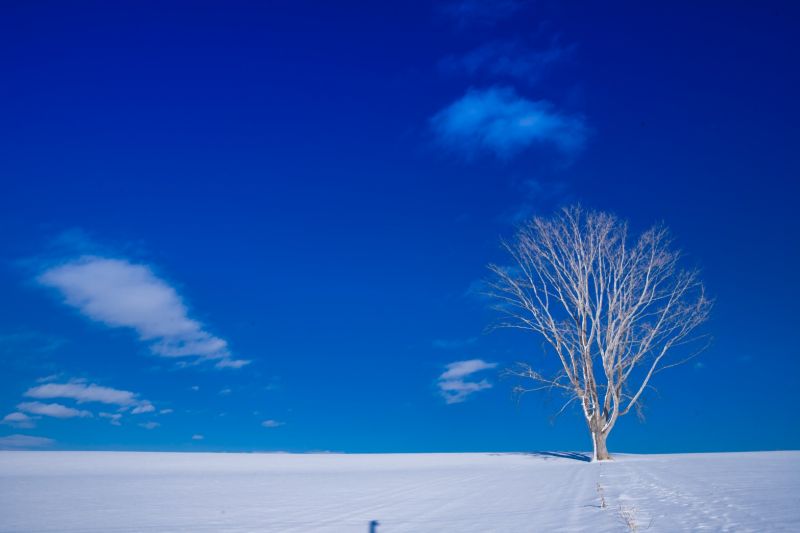 地球哭泣喊冤 日本北海道即將出現六月雪 欣傳媒