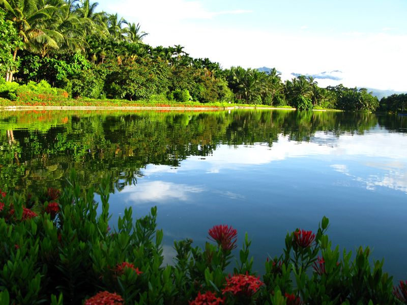 興隆熱帶植物園(圖片來源─海南省旅遊局)