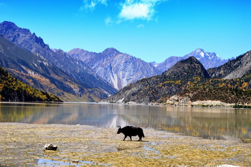 西藏然烏湖(圖片/欣傳媒提供)