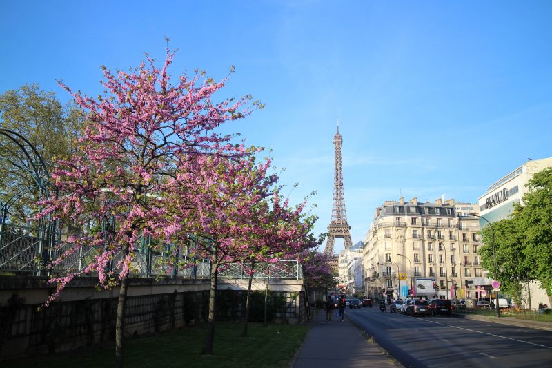 Novotel Tour Eiffel距離巴黎鐵塔僅20分鐘步行距離。（（照片提供：楊子慧）