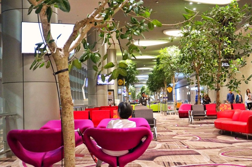 在機場裡種植大量樹木，配上繽紛的特色座椅，機場顯得活潑又可愛。