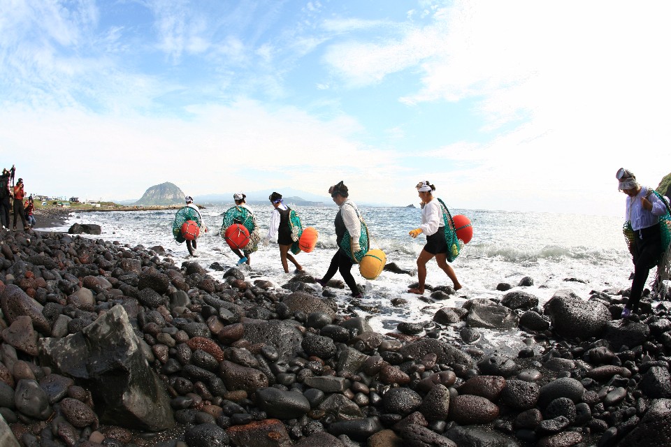 目前濟州島仍有4,500名海女在工作，但多數已年過七十。( photo by 濟州觀光公社 )