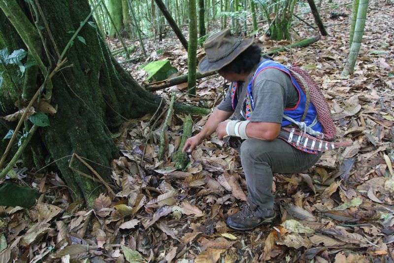在森林裡，avai獵人總能輕而易舉地發現動物們的足跡。（盧育君攝影）