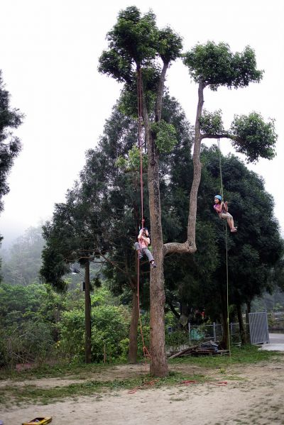 攀樹體驗讓大家親近自然、克服高度恐懼。(南庄露露提供)