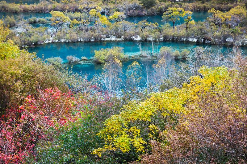 到了秋天，楓葉染紅綠樹之際，九寨溝成了五顏六色的美麗調色盤。（圖片來源：123RF）