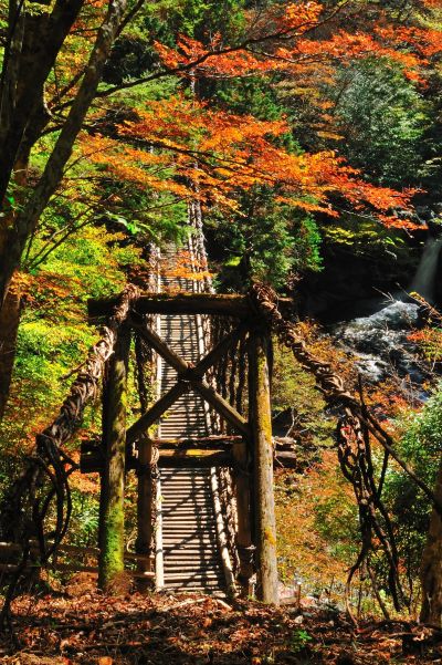 奧祖谷二重藤蔓橋。(Photo|徳島県.(一財)徳島県観光協会)
