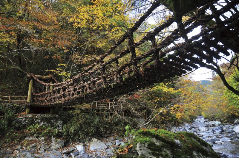 奧祖谷二重藤蔓橋,比起西祖谷的藤蔓橋更加隱密,人煙稀少。(Photo|徳島県.(一財)徳島県観光協会)