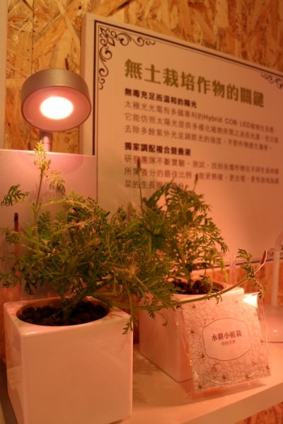 運用特殊LED燈，植物在室內也能頭好壯壯喔。(攝影趙相瑀)
