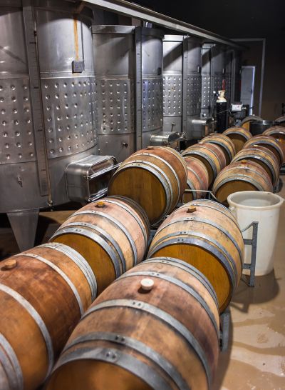 看見葡萄酒製作的過程。（圖片來源：123RF）