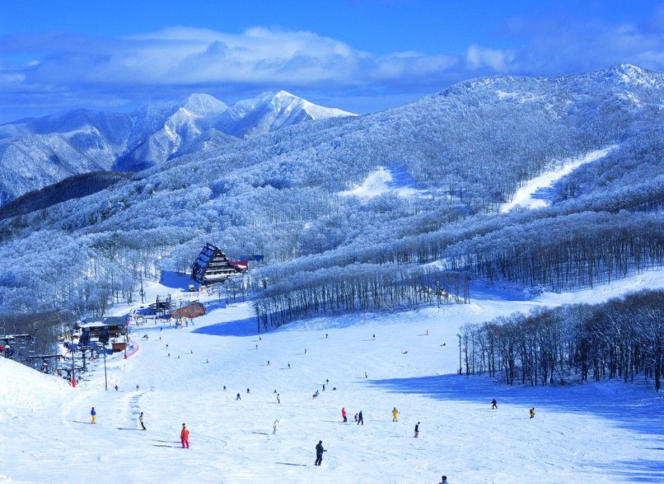 藏王溫泉滑雪場-中央區